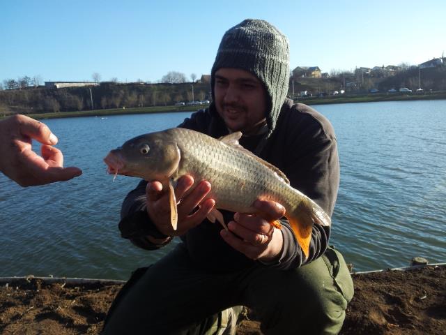 Floarea Popestiului 11 - 11 ian. - 20140111150507.jpg